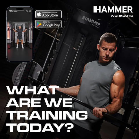 Aparat fitness multifunctional Hammer Autark 10.0