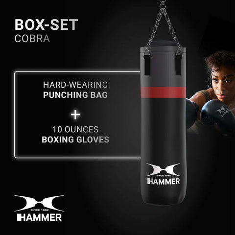 Set Sac de Box si Manusi Hammer Cobra 100 cm