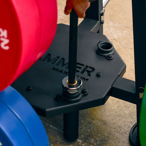 Suport pentru discuri si haltere PRO 50mm