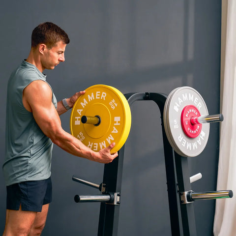 Suport pentru discuri si haltere PRO 50mm