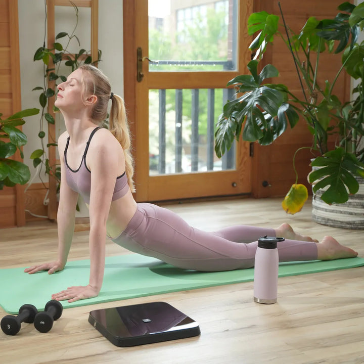 Cantar Inteligent Hammer Body Screen TX