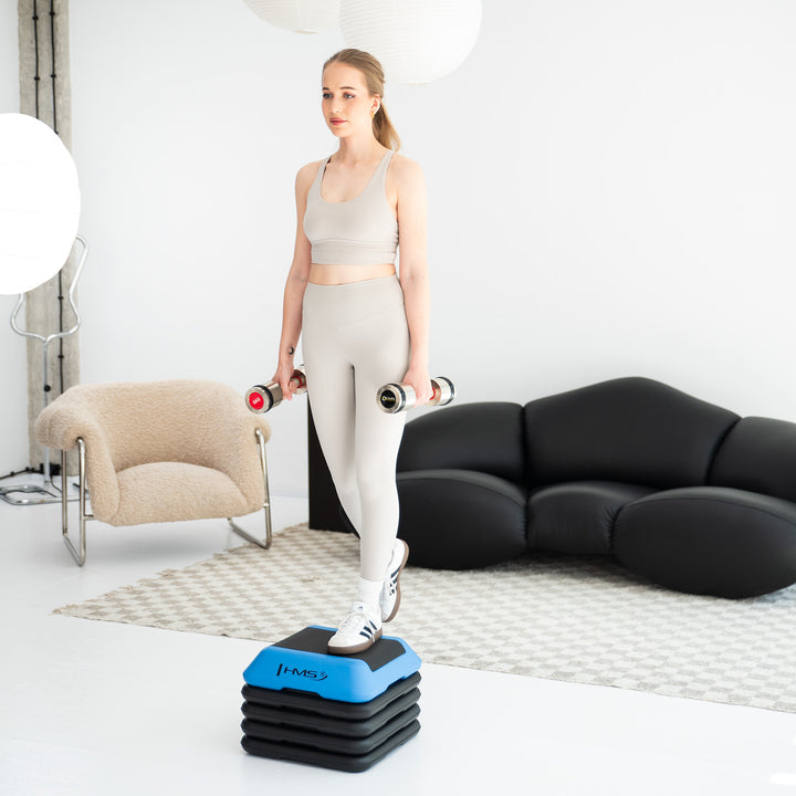 Mini stepper aerobic profesional HMS AS001