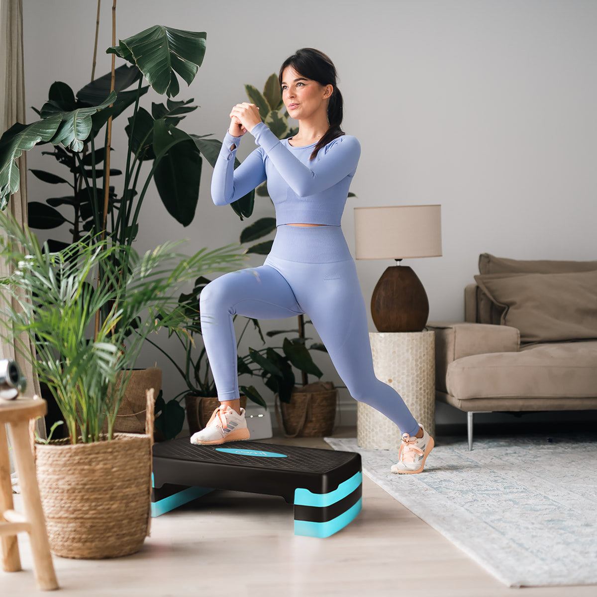 Stepper aerobic HMS AS002 – negru/menta