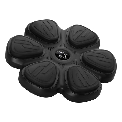 HMS TB12 Aparat de box cu muzica,Bluetooth si manusi