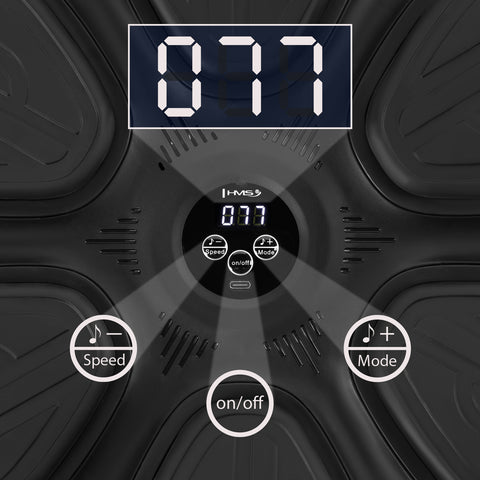 HMS TB12 Aparat de box cu muzica,Bluetooth si manusi