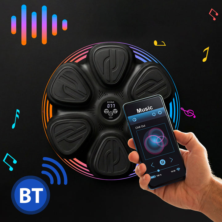 HMS TB12 Aparat de box cu muzica,Bluetooth si manusi