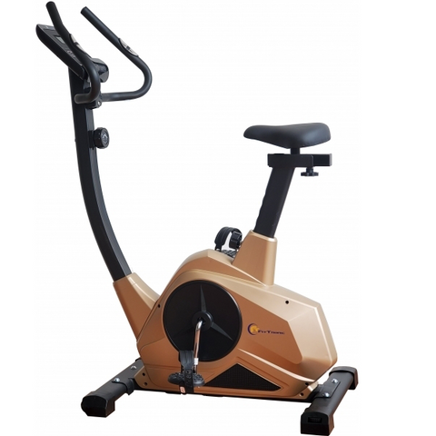 Bicicleta magnetica FitTronic 601B Gold